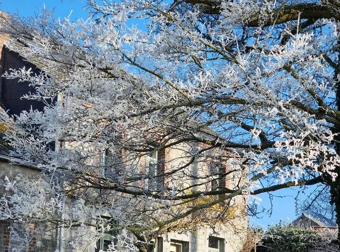 Hébergement de vacances 7ici *